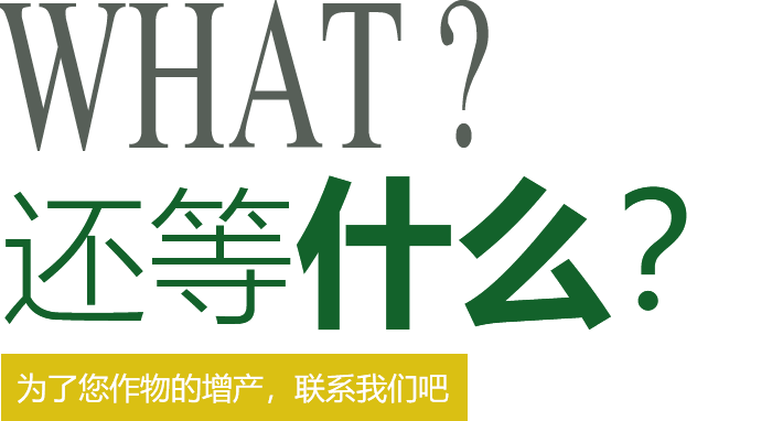 還在等什么？快來(lái)聯(lián)系我們吧